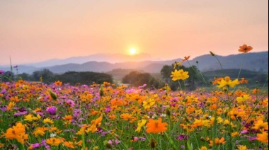 ¿Cuándo empieza la primavera en Argentina? Día y hora del equinoccio en 2023