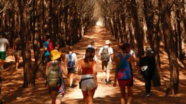 Este fin de semana se realiza el Festival Biocultural “Aterriza”