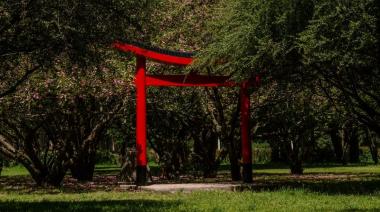 Este fin de semana se realiza el Festival Biocultural “Aterriza”