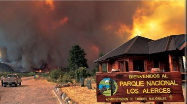 Incendio en el Parque Nacional Los Alerces: está "activo, pero apaciguado"