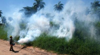 Dengue en la provincia: 41 municipios en brote, más de 35 mil casos y 25 personas fallecidas