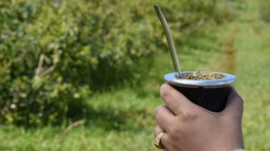 Ya rige la desregulación de los precios de la yerba mate: qué pasará en las góndolas