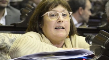 Graciela Ocaña: "Milei debería suspender la jubilación de Alberto Fernández porque no cumple con los requisitos"