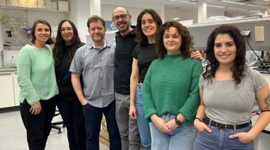 Científicos argentinos descubrieron una molécula cerebral que regula el estrés y la ansiedad