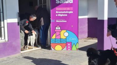 Más de 80 mascotas vacunadas en un operativo realizado en el CAPS Sur