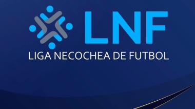 Programación del domingo suspendida: cómo quedaron las tablas