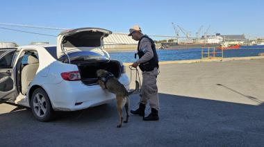 Consorcio, Aduana y Prefectura realizan inspecciones preventivas conjuntas en Puerto Quequén