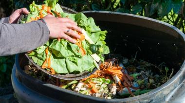 Para tu huerta en casa: Dictan taller gratuito de compost