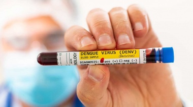 Preocupación por una nueva cepa del dengue: ya detectaron su circulación en el centro del país