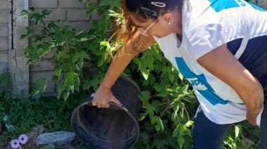 “Tapá, lavá, tirá y girá”, la campaña de desencharcado contra el dengue