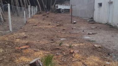 Guardaparques infraccionó a Villa Díaz Vélez por la tala indiscriminada de árboles