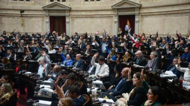 El Gobierno festeja: Media sanción para la suspensión de las PASO