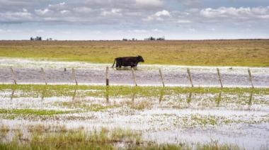 Casi 2 millones de hectáreas bajo el agua en la provincia
