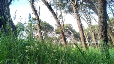 Se presentó la Mesa de Consenso del Parque:  plan de forestación, el primer objetivo