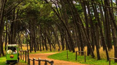 Se presentó la Mesa de Consenso del Parque:  plan de forestación, el primer objetivo