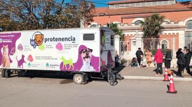 Jornada de castración masiva de mascotas este sábado