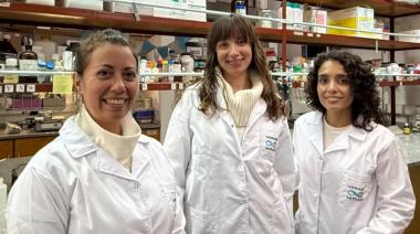 Científicas argentinas desarrollaron un apósito inteligente que acelera la cicatrización