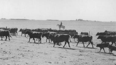 Crónicas de Necochea: La inflación, como hoy, pero en 1920 y la creación de una carnicería municipal
