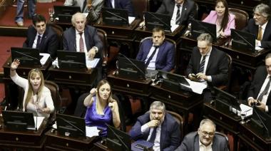 Hay quórum: el Senado debate Ficha Limpia