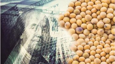 Anuncian un dólar “soja” a $ 200 y esperan una liquidación de $US 5.000 millones