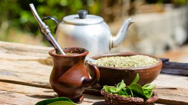 Científicos argentinos desarrollan un extracto de yerba mate como tratamiento del cáncer de próstata