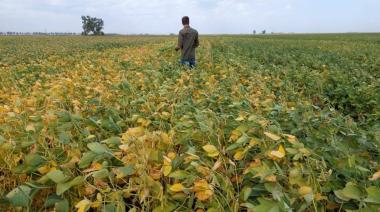 Agro: más de 4 mil productores se inscribieron en el Programa Compensación