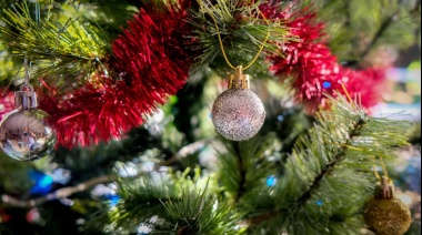 Cuánto sale armar el arbolito de navidad: Todos los detalles