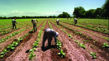 Oficializan el pago de un bono adicional de $26.000 para trabajadores rurales