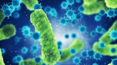 Detectan y contienen brote de una bacteria resistente a todos los antibióticos en la Argentina