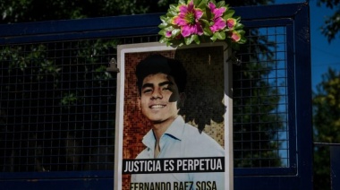 Caso Baez Sosa: Especialistas entienden que no corresponde la prisión perpetua