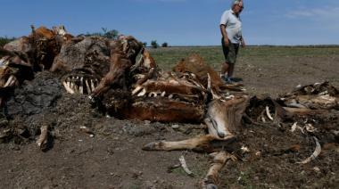 El campo advierte que las pérdidas por la sequía superarán los US$15.000 millones