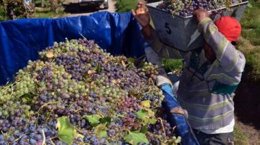 Sergio Massa anunció a empresarios vitivinícolas que habrá un 'dólar vino' desde abril