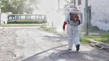 Provincia: hay 25 casos confirmados de dengue y 44 de chikungunya