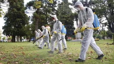 Dengue: son 80 los casos confirmados en la provincia y ya hay circulación comunitaria