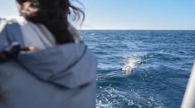 Greenpeace recorrió las zonas avanzar con la exploración petrolera offshore