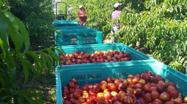 Lanzan el Programa de Fomento a la Fruticultura 2023