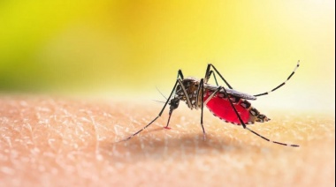 En Capital Federal declaran situación de "alto riesgo" por Dengue