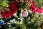 Cuánto sale armar el arbolito de navidad: Todos los detalles