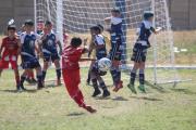 Cuenta regresiva para la Sur Cup: 200 equipos y 3.500 jugadores