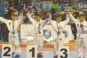 Taekwondo: Necochea coronó ocho campeones sudamericanos