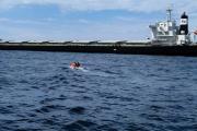 Un barco chocó contra la Escollera Norte de Puerto Quequén