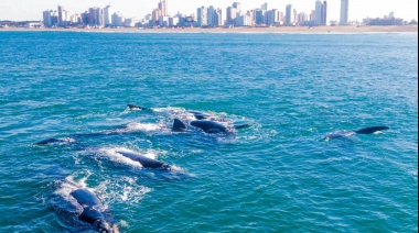 Día Mundial de los Océanos: “El mar siempre nos sorprende con cosas lindas”