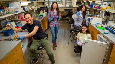 Diseñan un test doméstico que detecta en la saliva el COVID-19 y sus variantes